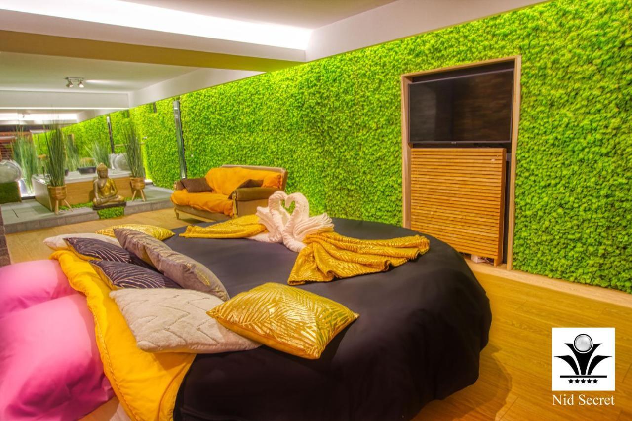 Panoramique 180 Lac Et Montagne Et Nid Secret Spa Romantique Анси Экстерьер фото